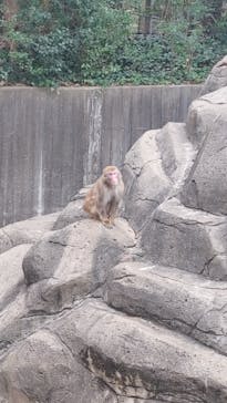 千葉市動物公園に投稿された画像（2024/2/29）