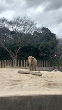 千葉市動物公園に投稿された画像（2024/2/29）