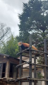 千葉市動物公園に投稿された画像（2024/2/29）