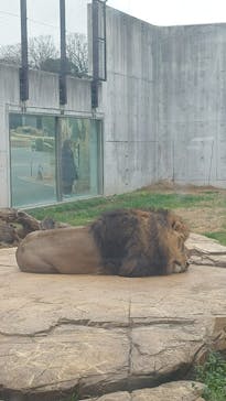 千葉市動物公園に投稿された画像（2024/2/29）