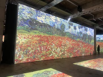 ゴッホ・アライブに投稿された画像（2024/2/29）