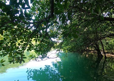 石垣島 ADVENTURE PiPi（イシガキジマアドベンチャーピピ）に投稿された画像（2024/2/29）