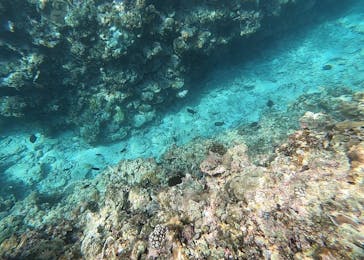 石垣島 ADVENTURE PiPi（イシガキジマアドベンチャーピピ）に投稿された画像（2024/2/29）