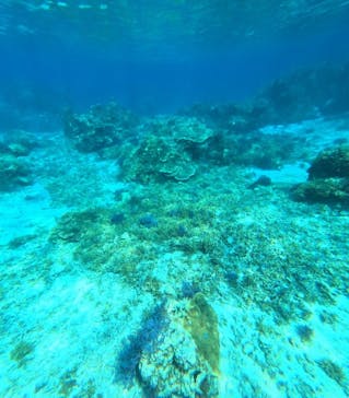 宮古島 ADVENTURE PiPi（ミヤコジマ アドベンチャー ピピ）に投稿された画像（2024/2/29）