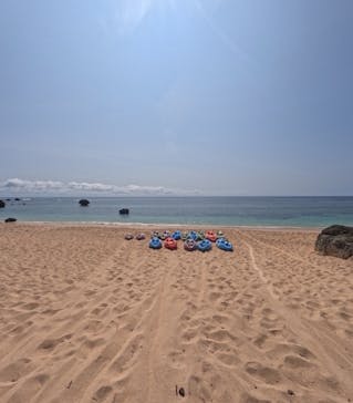 宮古島 ADVENTURE PiPi（ミヤコジマ アドベンチャー ピピ）に投稿された画像（2024/2/29）