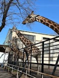 宇都宮動物園に投稿された画像（2024/2/29）