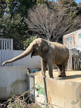 宇都宮動物園に投稿された画像（2024/2/29）