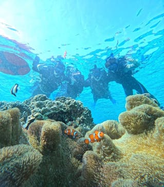 宮古島 ADVENTURE PiPi（ミヤコジマ アドベンチャー ピピ）に投稿された画像（2024/2/29）