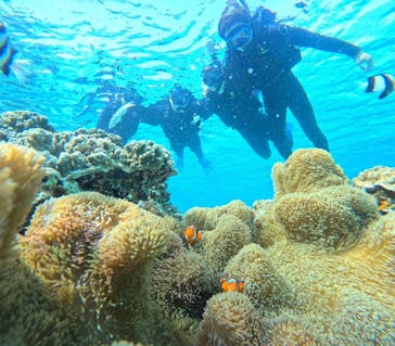 宮古島 ADVENTURE PiPi（ミヤコジマ アドベンチャー ピピ）に投稿された画像（2024/2/29）