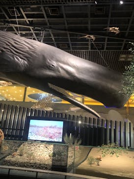 国立科学博物館に投稿された画像（2024/2/29）