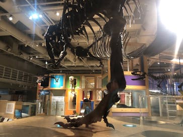 国立科学博物館に投稿された画像（2024/2/29）