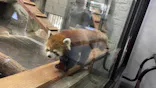 天王寺動物園に投稿された画像（2024/3/1）