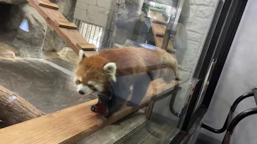 天王寺動物園に投稿された画像（2024/2/29）