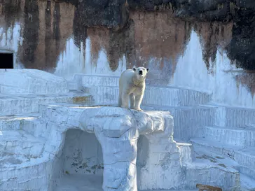 天王寺動物園に投稿された画像（2024/2/29）