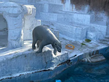 天王寺動物園に投稿された画像（2024/2/29）