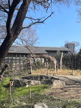 天王寺動物園に投稿された画像（2024/2/29）
