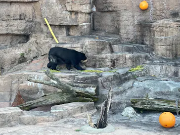 天王寺動物園に投稿された画像（2024/2/29）