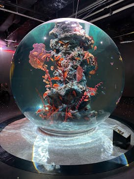 AQUARIUM × ART　atoaに投稿された画像（2024/2/29）