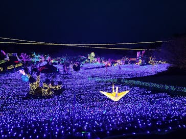 伊豆ぐらんぱる公園に投稿された画像（2024/3/1）