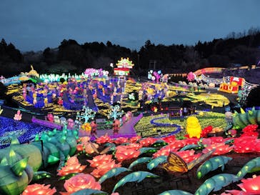 伊豆ぐらんぱる公園に投稿された画像（2024/3/1）