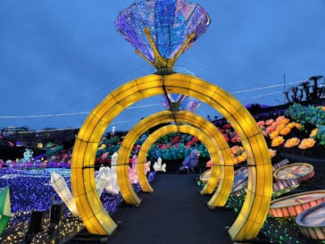 伊豆ぐらんぱる公園に投稿された画像（2024/3/1）