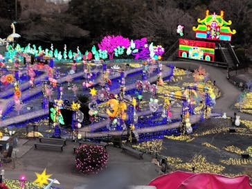 伊豆ぐらんぱる公園に投稿された画像（2024/3/1）