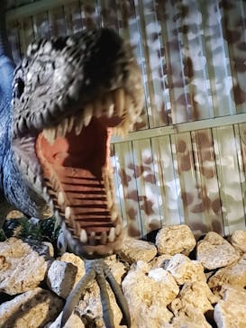 ナゴパイナップルパークに投稿された画像（2024/3/1）