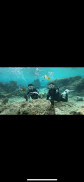 武藤潜水に投稿された画像（2024/3/1）