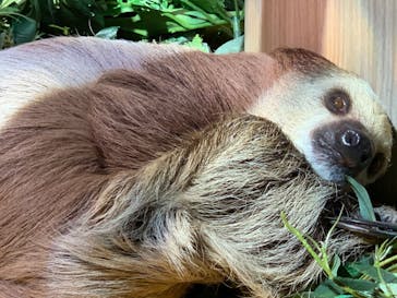 DMMかりゆし水族館に投稿された画像（2024/3/1）