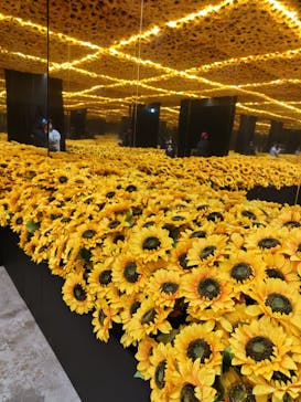 ゴッホ・アライブに投稿された画像（2024/3/1）