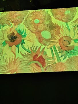 ゴッホ・アライブに投稿された画像（2024/3/1）