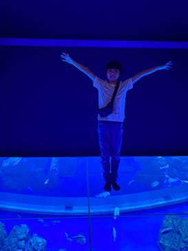 DMMかりゆし水族館に投稿された画像（2024/3/1）