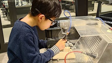 福井県立恐竜博物館に投稿された画像（2024/3/1）