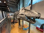 福井県立恐竜博物館に投稿された画像（2024/3/1）