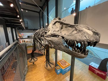 福井県立恐竜博物館に投稿された画像（2024/3/1）