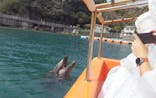 下田海中水族館に投稿された画像（2024/3/1）
