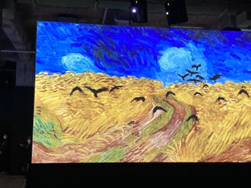 ゴッホ・アライブに投稿された画像（2024/3/1）