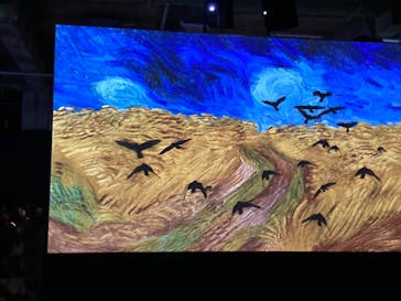 ゴッホ・アライブに投稿された画像（2024/3/1）