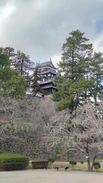 松江城に投稿された画像（2024/3/1）