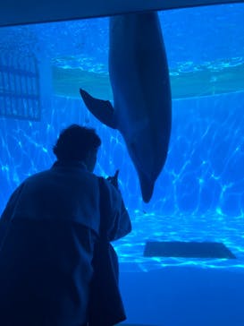 九十九島水族館海きららに投稿された画像（2024/3/1）