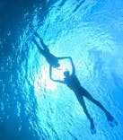 宮古島 ADVENTURE PiPi（ミヤコジマ アドベンチャー ピピ）に投稿された画像（2024/3/2）