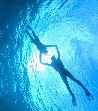 宮古島 ADVENTURE PiPi（ミヤコジマ アドベンチャー ピピ）に投稿された画像（2024/3/1）