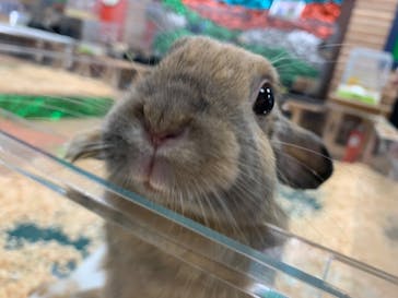 いきもの探検隊上尾に投稿された画像（2024/3/1）