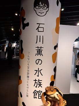 京都水族館に投稿された画像（2024/3/1）