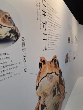 京都水族館に投稿された画像（2024/3/1）