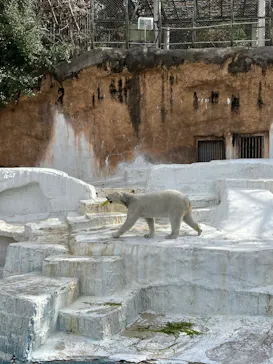 天王寺動物園に投稿された画像（2024/3/1）