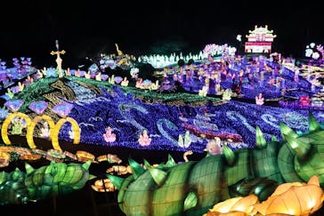 伊豆ぐらんぱる公園に投稿された画像（2024/3/2）