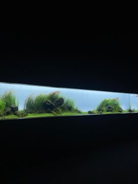 AOAO SAPPOROに投稿された画像（2024/3/2）