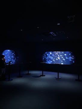 AOAO SAPPOROに投稿された画像（2024/3/2）