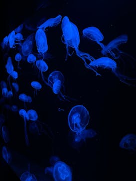 AOAO SAPPOROに投稿された画像（2024/3/2）